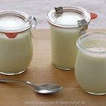 Yogurt alimento probiótico