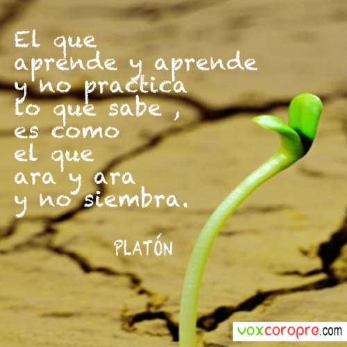 EL-QUE-APRENDE-Y-APRENDE