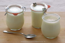 Yogurt alimento probiótico